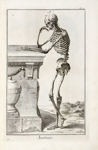 DENIS DIDEROT : Encyclopdie, ou dictionnaire raisonn des sciences, des arts et des mtiers, par une socit de gens de lettres...  - Asta 	Libri, autografi e manoscritti - Associazione Nazionale - Case d'Asta italiane