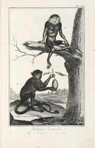 DENIS DIDEROT : Encyclopdie, ou dictionnaire raisonn des sciences, des arts et des mtiers, par une socit de gens de lettres...  - Asta 	Libri, autografi e manoscritti - Associazione Nazionale - Case d'Asta italiane