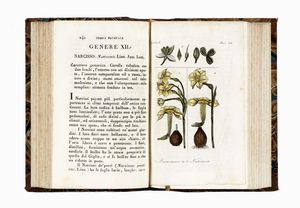 GEORGES LOUIS BUFFON : Storia naturale [...] classificata giusta il sistema di Carlo Linno da Renato Riccardo Castel... Tomo I (-XLI).  - Asta 	Libri, autografi e manoscritti - Associazione Nazionale - Case d'Asta italiane