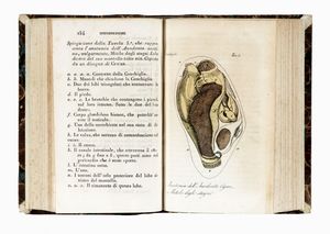 GEORGES LOUIS BUFFON : Storia naturale [...] classificata giusta il sistema di Carlo Linno da Renato Riccardo Castel... Tomo I (-XLI).  - Asta 	Libri, autografi e manoscritti - Associazione Nazionale - Case d'Asta italiane