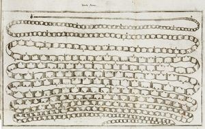 ANTONIO VALLISNERI : Considerazioni, ed esperienze [...] intorno al creduto cervello impietrito, ed alla generazione de' vermi ordinarj del corpo umano...  - Asta 	Libri, autografi e manoscritti - Associazione Nazionale - Case d'Asta italiane