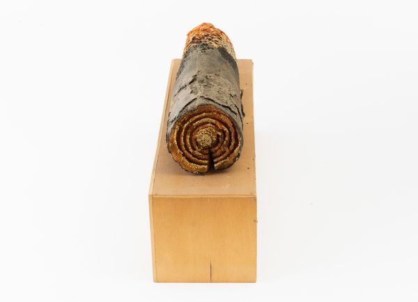 Piero Gilardi : Senza titolo  - Asta Grafiche e Multipli del XX secolo - Associazione Nazionale - Case d'Asta italiane