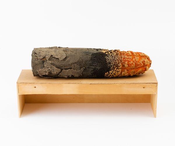 Piero Gilardi : Senza titolo  - Asta Grafiche e Multipli del XX secolo - Associazione Nazionale - Case d'Asta italiane