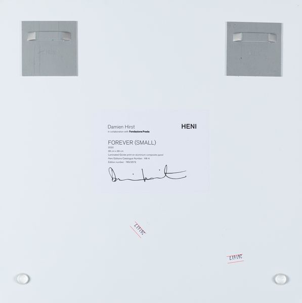Damien Hirst : Forever (small)  - Asta Grafiche e Multipli del XX secolo - Associazione Nazionale - Case d'Asta italiane