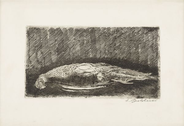 Luigi Bartolini : Nobile fagiano  - Asta Grafiche e Multipli del XX secolo - Associazione Nazionale - Case d'Asta italiane