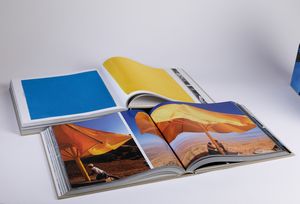 Christo : The Umbrellas, Japan-USA 1984-1991  - Asta Grafiche e Multipli del XX secolo - Associazione Nazionale - Case d'Asta italiane