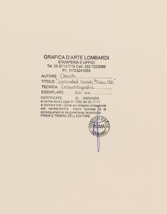 Christo : Surrounded Island - Project for Biscayne Bay, Miami  - Asta Grafiche e Multipli del XX secolo - Associazione Nazionale - Case d'Asta italiane