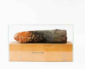 Piero Gilardi - Senza titolo