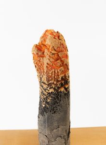 Piero Gilardi : Senza titolo  - Asta Grafiche e Multipli del XX secolo - Associazione Nazionale - Case d'Asta italiane