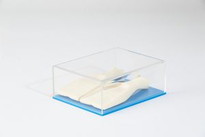 Alex Pinna - Senza titolo