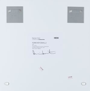 Damien Hirst : Forever (small)  - Asta Grafiche e Multipli del XX secolo - Associazione Nazionale - Case d'Asta italiane