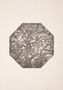 FEDERICA GALLI - Senza titolo