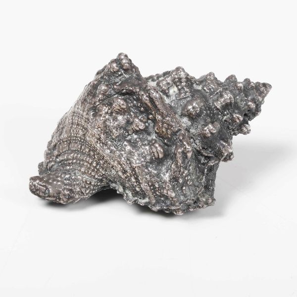 Conchiglia in argento. Argenteria italiana del XX secolo  - Asta Argenti - Associazione Nazionale - Case d'Asta italiane