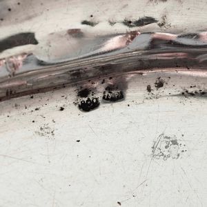 Alzata circolare con bordo traforato in argento. Argenteria siciliana del XX secolo. Argentiere Bonura & Cusimano, Palermo  - Asta Argenti - Associazione Nazionale - Case d'Asta italiane