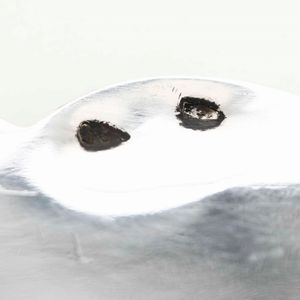 Due piatti in argento. Argenteria italiana del XX secolo, argentieri differenti  - Asta Argenti - Associazione Nazionale - Case d'Asta italiane