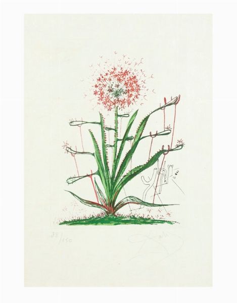 Aloe  - Asta Arte Moderna, Contemporanea e Dipinti del XIX Secolo - Associazione Nazionale - Case d'Asta italiane