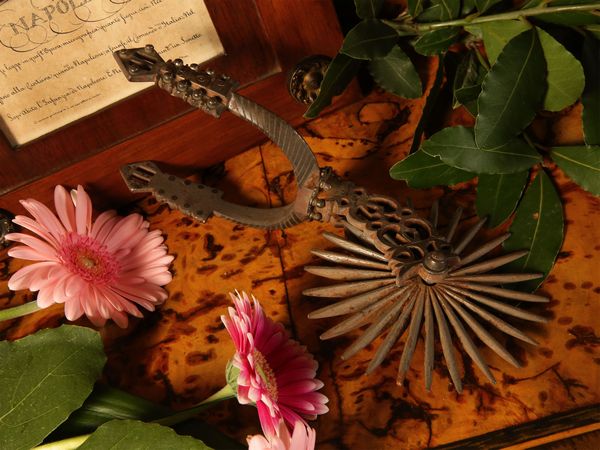 Lotto di curiosit� militari  - Asta Arredi e dipinti da un antico palazzo marchigiano - Associazione Nazionale - Case d'Asta italiane