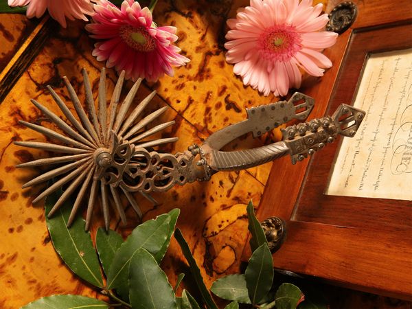 Lotto di curiosit� militari  - Asta Arredi e dipinti da un antico palazzo marchigiano - Associazione Nazionale - Case d'Asta italiane