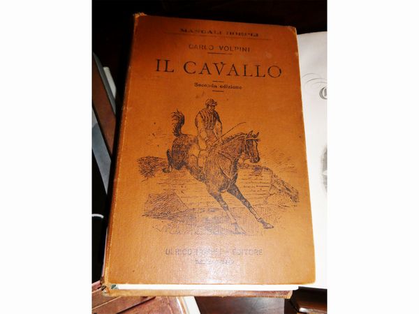 Lotto di libri e curiosit� su Cavallo ed Equitazione  - Asta Arredi e dipinti da un antico palazzo marchigiano - Associazione Nazionale - Case d'Asta italiane