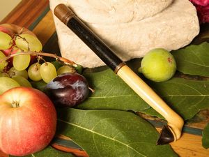 Miscellanea di curiosit� d'epoca  - Asta Arredi e dipinti da un antico palazzo marchigiano - Associazione Nazionale - Case d'Asta italiane