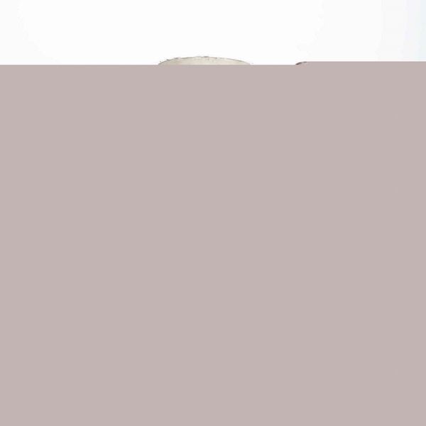 Caffettiera<BR>Napoli, 1800 circa  - Asta Maioliche, Porcellane e Vetri - Associazione Nazionale - Case d'Asta italiane