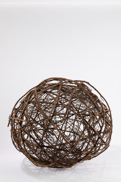 Giuliano  Mauri : Spora vegetale  - Asta Arte Moderna e Contemporanea - Associazione Nazionale - Case d'Asta italiane