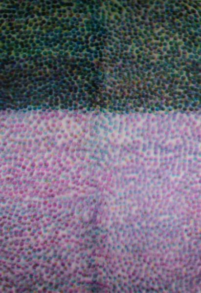 Parker Ito : Senza titolo  - Asta Arte Moderna e Contemporanea - Associazione Nazionale - Case d'Asta italiane