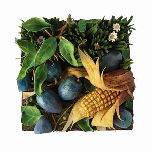 Piero Gilardi - Prugne e mais