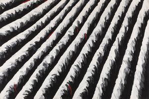 Giuseppe Scaiola - Senza titolo