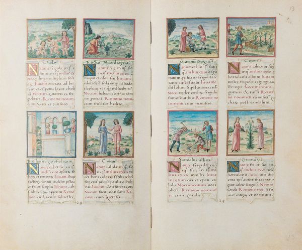 Tacuinum Sanitatis - Codex Vindobonensis 2396  - Asta L'arte di riprodurre codici - Associazione Nazionale - Case d'Asta italiane