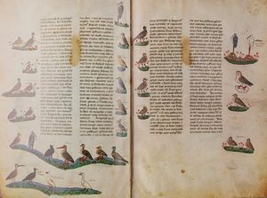 Federico II di Svevia - De Arte Venandi Cum Avibus