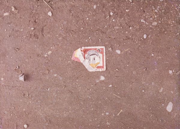 Luigi Ghirri : Modena, dalla serie Kodachrome  - Asta Fotografia - Associazione Nazionale - Case d'Asta italiane