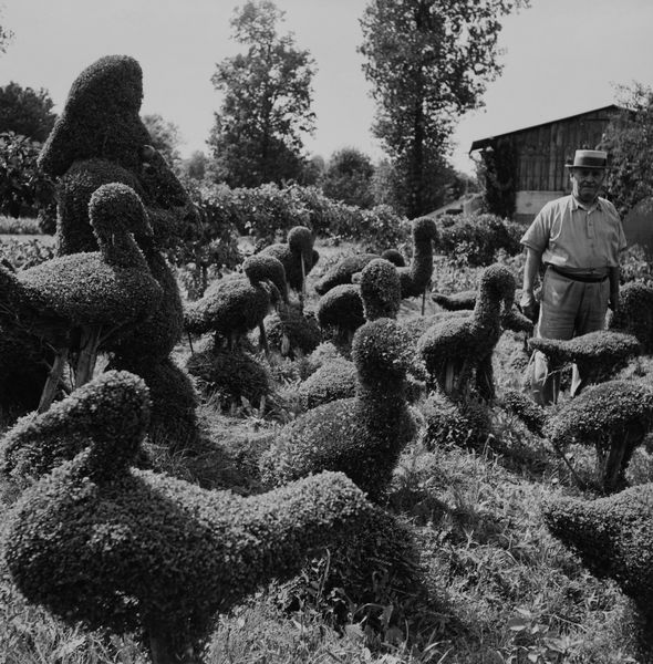 Robert Doisneau : Blaise Cendrars dans le jardin  - Asta Fotografia - Associazione Nazionale - Case d'Asta italiane