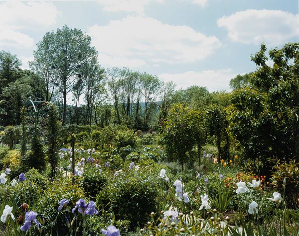 Stephen Shore : Giverny 5  - Asta Fotografia - Associazione Nazionale - Case d'Asta italiane