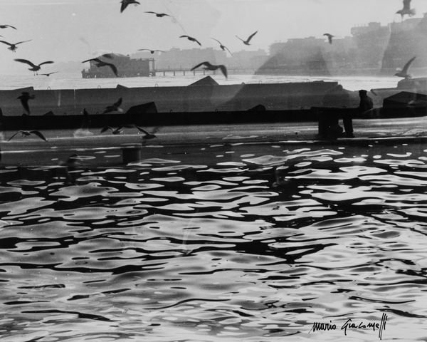 Mario Giacomelli : Senza titolo (Mare)  - Asta Fotografia - Associazione Nazionale - Case d'Asta italiane