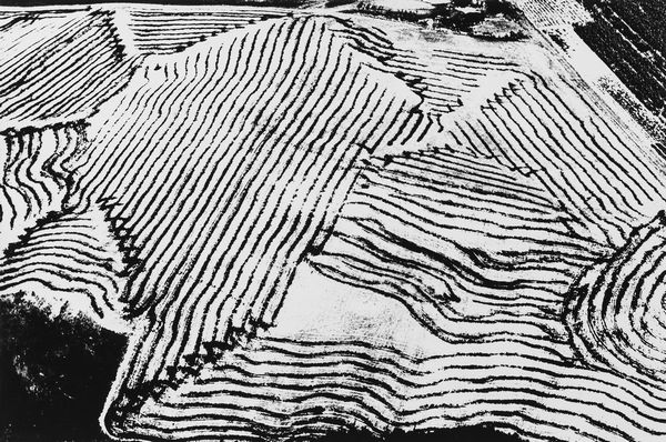 Mario Giacomelli : Presa di coscienza sulla natura  - Asta Fotografia - Associazione Nazionale - Case d'Asta italiane