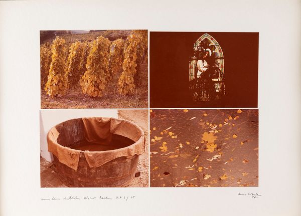 Heinz Cibulka : Fotografische Bildgedichte aus dem S�dlichen Wiener Becken  - Asta Fotografia - Associazione Nazionale - Case d'Asta italiane