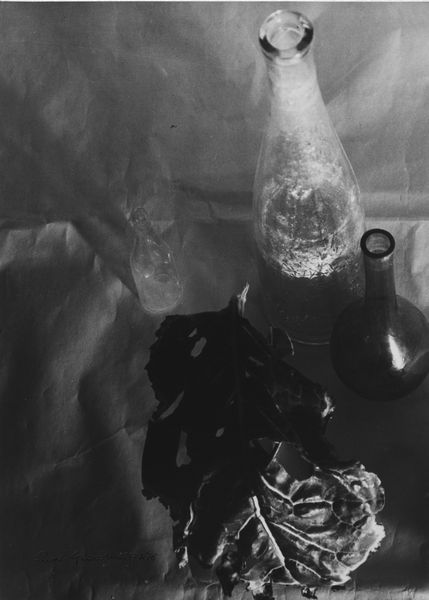 Mario Giacomelli : Natura morta con foglia  - Asta Fotografia - Associazione Nazionale - Case d'Asta italiane