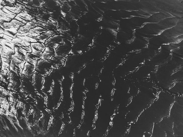 NINO MIGLIORI : Adriatico  - Asta Fotografia - Associazione Nazionale - Case d'Asta italiane