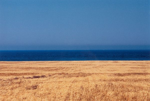 Franco Fontana : Sicilia  - Asta Fotografia - Associazione Nazionale - Case d'Asta italiane