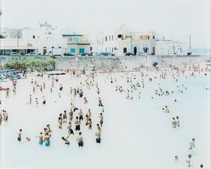 Massimo Vitali - Natural habitats