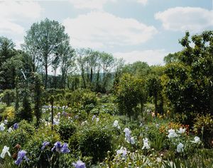 Stephen Shore - Giverny 5