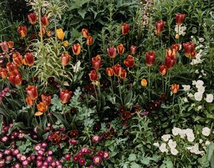 Stephen Shore - Giverny 12