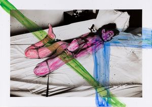 NOBUYOSHI ARAKI - Grand diary of a photo maniac