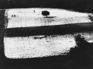 Mario Giacomelli - Presa di coscienza sulla natura