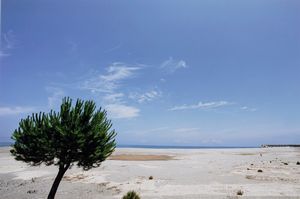 Franco Fontana - Sicilia, Capo D'Orlando