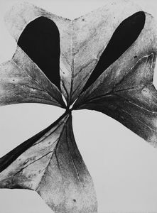 LUIGI VERONESI - Quadrifoglio (Fotogramma)