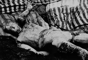 Massimo Vitali : Senza titolo (Ricostruzione della morte di Giuseppe Pinelli)  - Asta Fotografia - Associazione Nazionale - Case d'Asta italiane