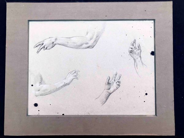 Artista del XIX secolo Studio di braccia e mani  - Asta Oltre 300 lotti ad offerta libera - Associazione Nazionale - Case d'Asta italiane
