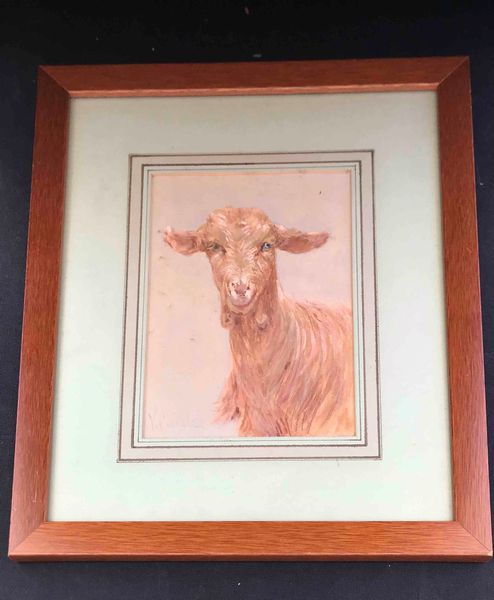 VINCENZO CAPRILE : Studio di capretta  - Asta Oltre 300 lotti ad offerta libera - Associazione Nazionale - Case d'Asta italiane